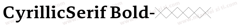 CyrillicSerif Bold字体转换